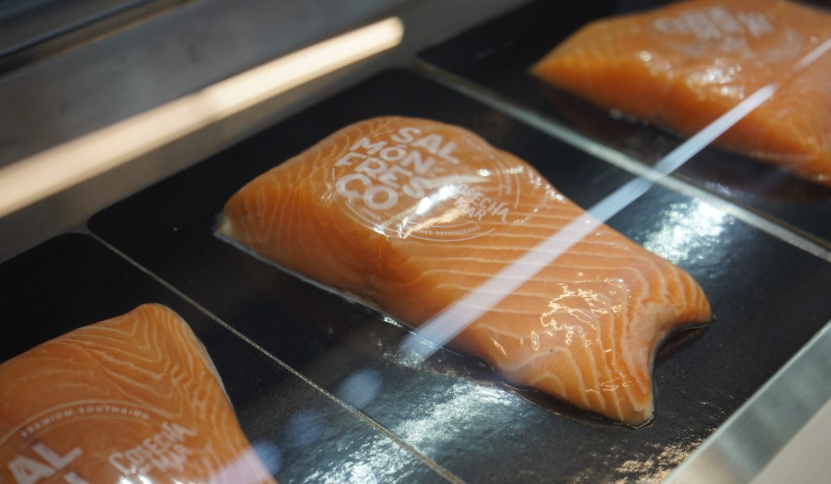 Sector pesquero y acuícola impulsa las exportaciones chilenas en enero