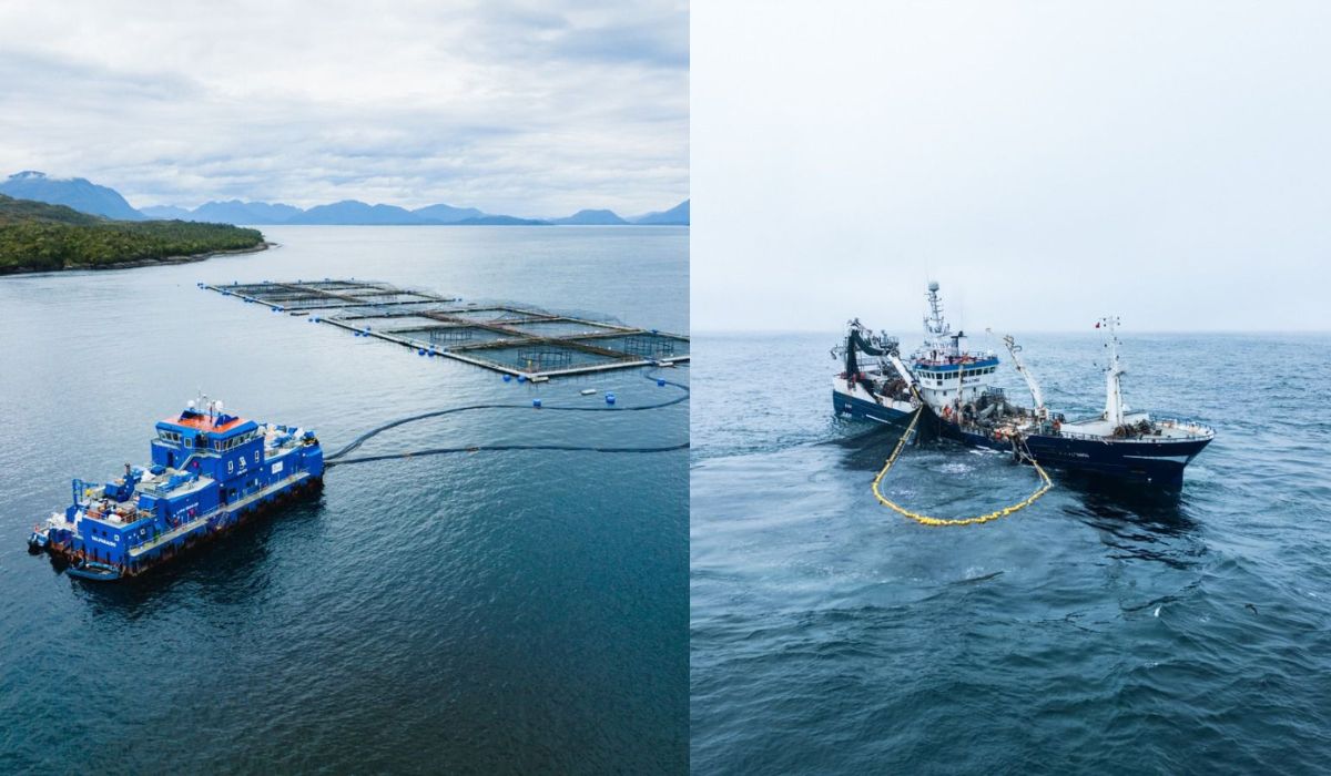 Blumar es reconocida por segundo año consecutivo en ranking global de sostenibilidad