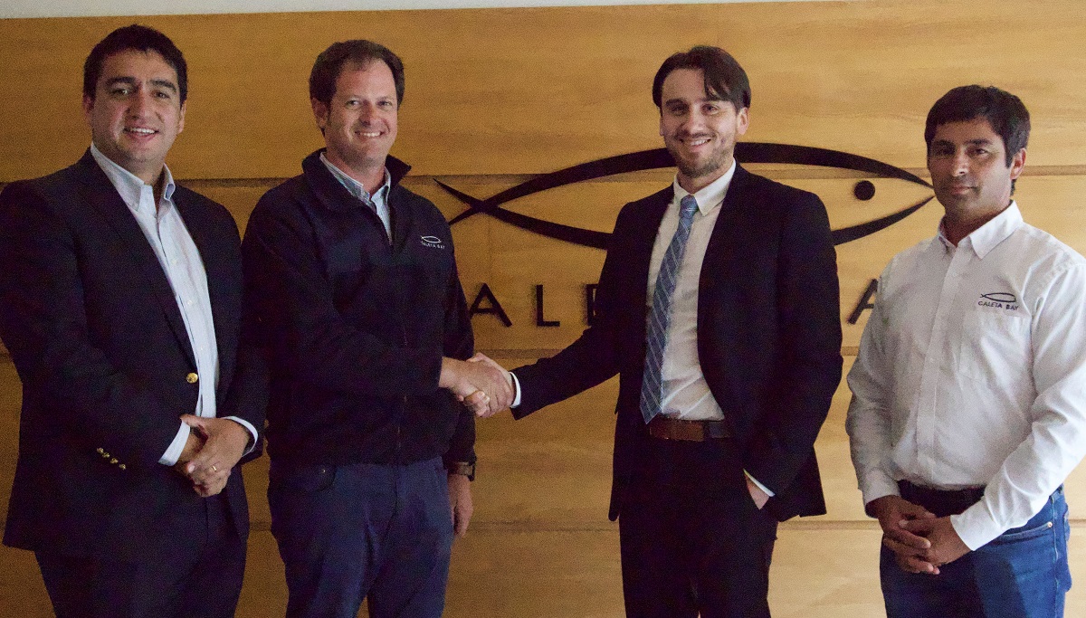 Caleta Bay y Copec EMOAC sellan acuerdo de suministro eléctrico 100% renovable