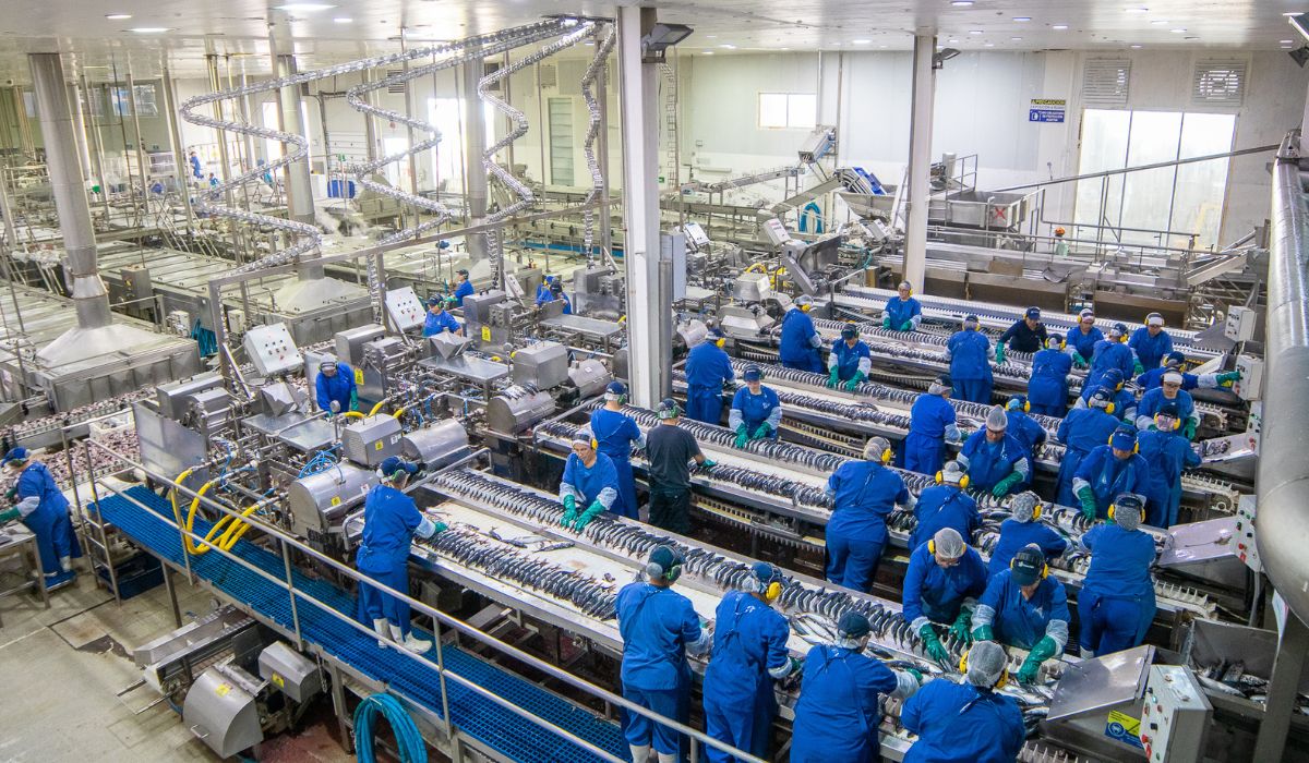 Camanchaca demanda al Estado por vulneración grave de derechos pesqueros