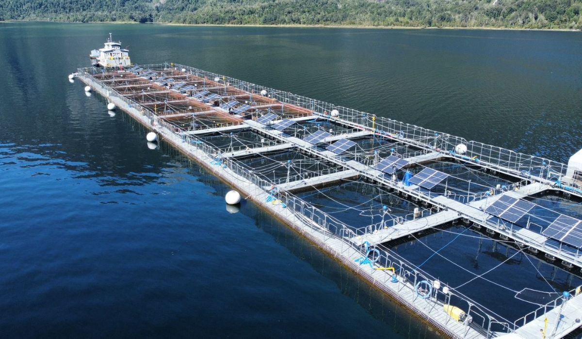 Copec, Luxmeter y Ventisqueros impulsan proyecto de energía renovable para la salmonicultura