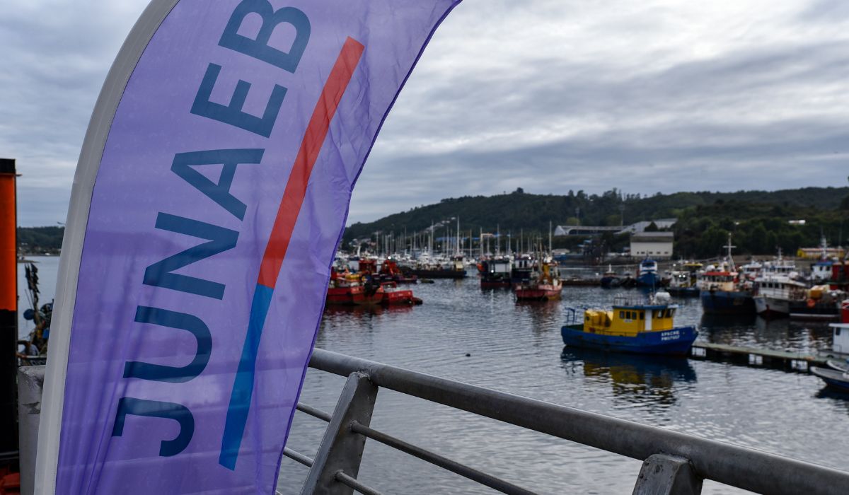 Merluza austral de la pesca artesanal llegará a comedores escolares de Puerto Montt