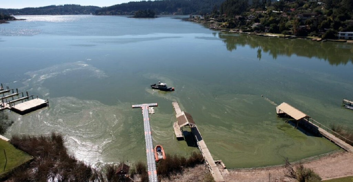 Lago Vichuquén: recuperar su función ecológica, no maquillar los síntomas