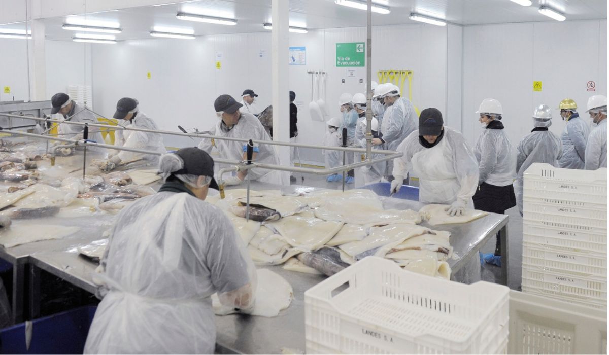 Gremio industrial del Biobío cuestiona efectos de la Ley de la Jibia