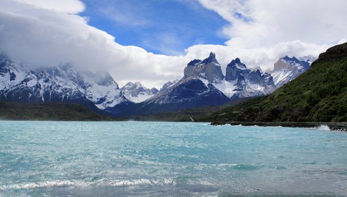 Hendrix Genetics Chile refuerza su agenda técnica para el primer semestre 2026