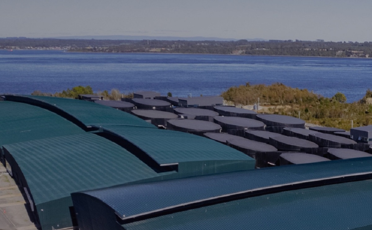 Innovación desde la etapa de agua dulce: Destacan el caso de Multi X