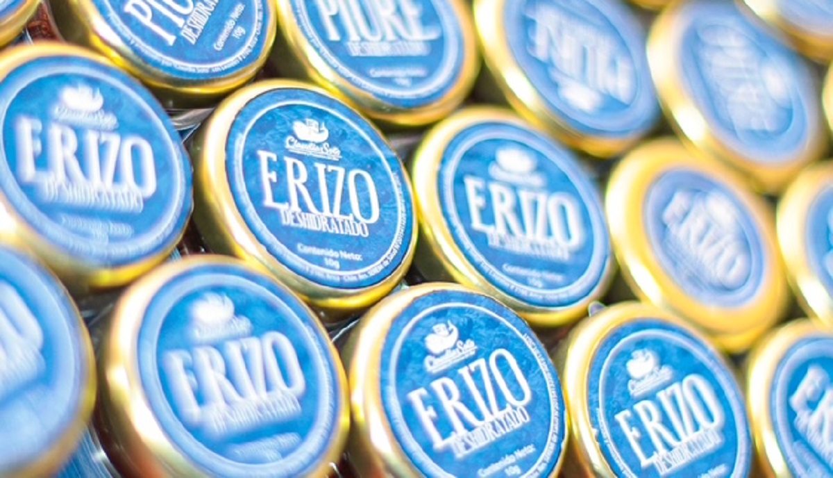 Indespa abre cupos para pescadores artesanales en festival Ñam 2026