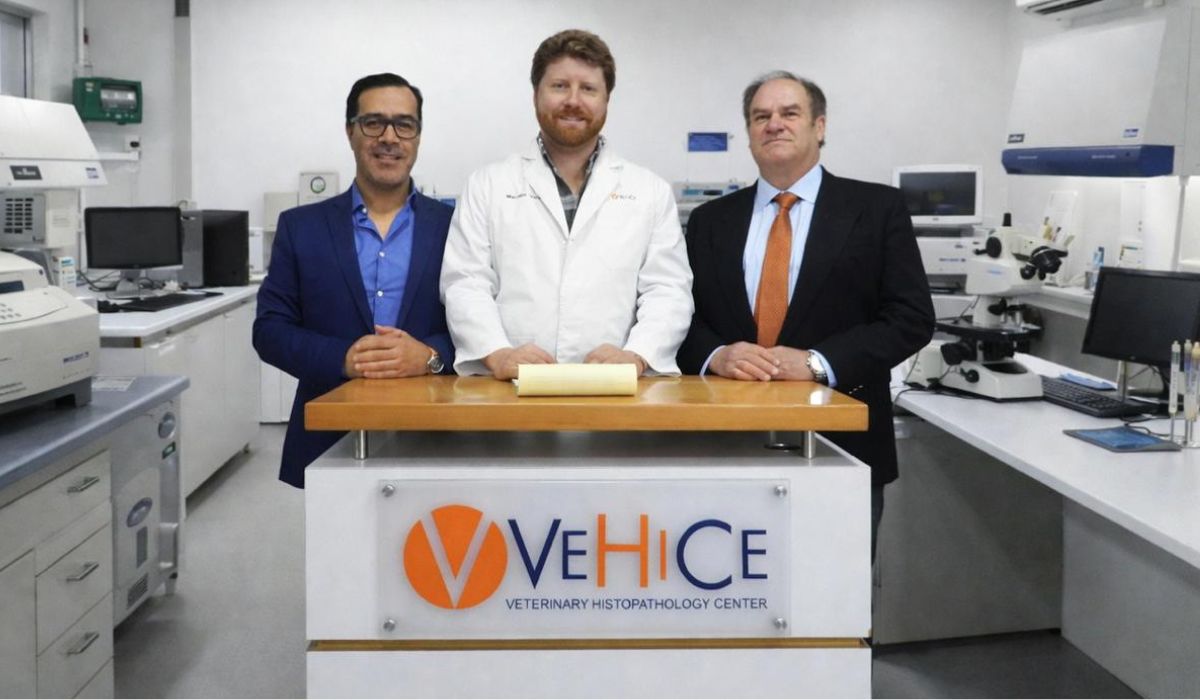 AquaSur abrirá debate técnico sobre insumos vegetales para la salmonicultura