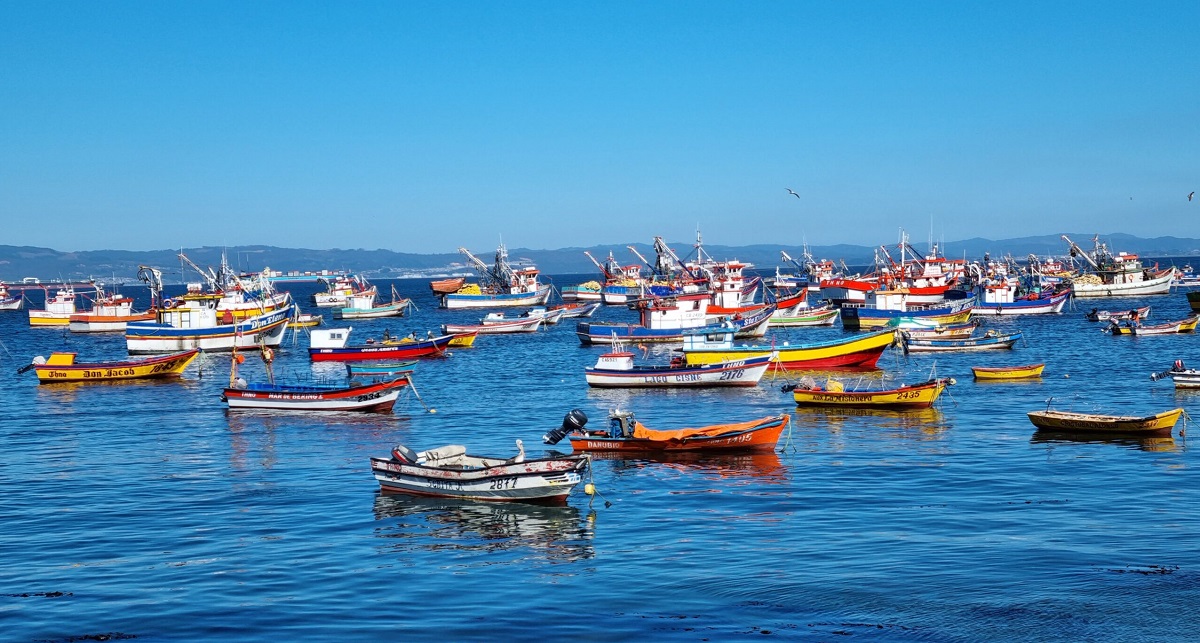 "Es inmoral que exijan una indemnización”: Pesca Artesanal rechaza demanda de Camanchaca 
