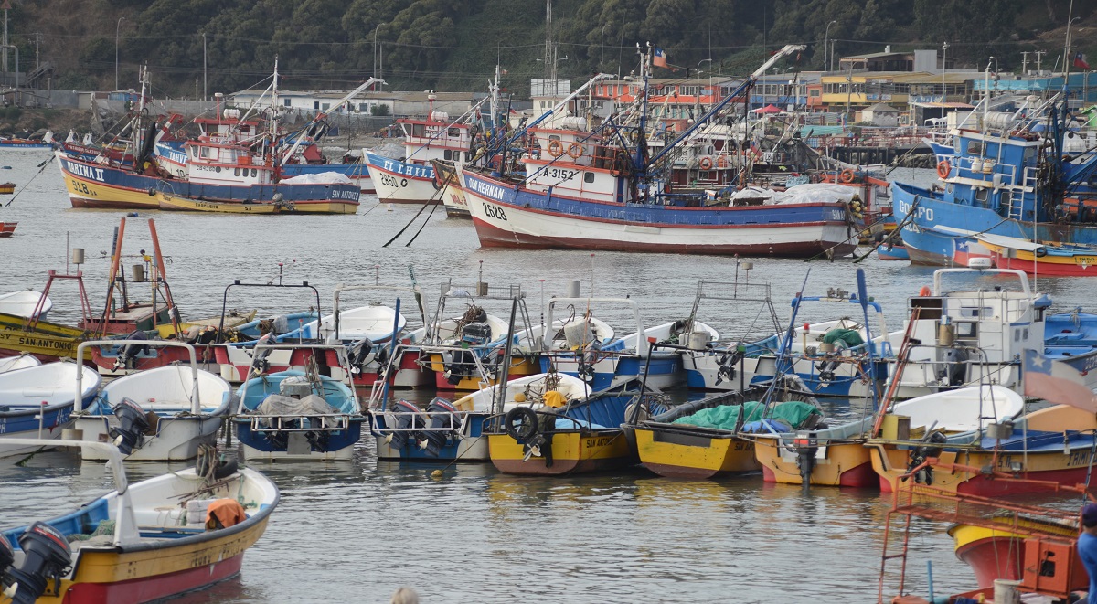 Subpesca informa sobre cobro Patente Única Pesquera año 2026