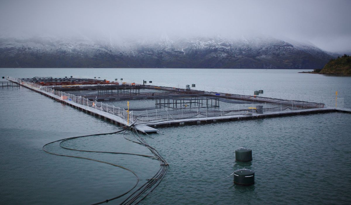 Magallanes pide mayor rigor técnico ante el cierre acelerado de normas ambientales