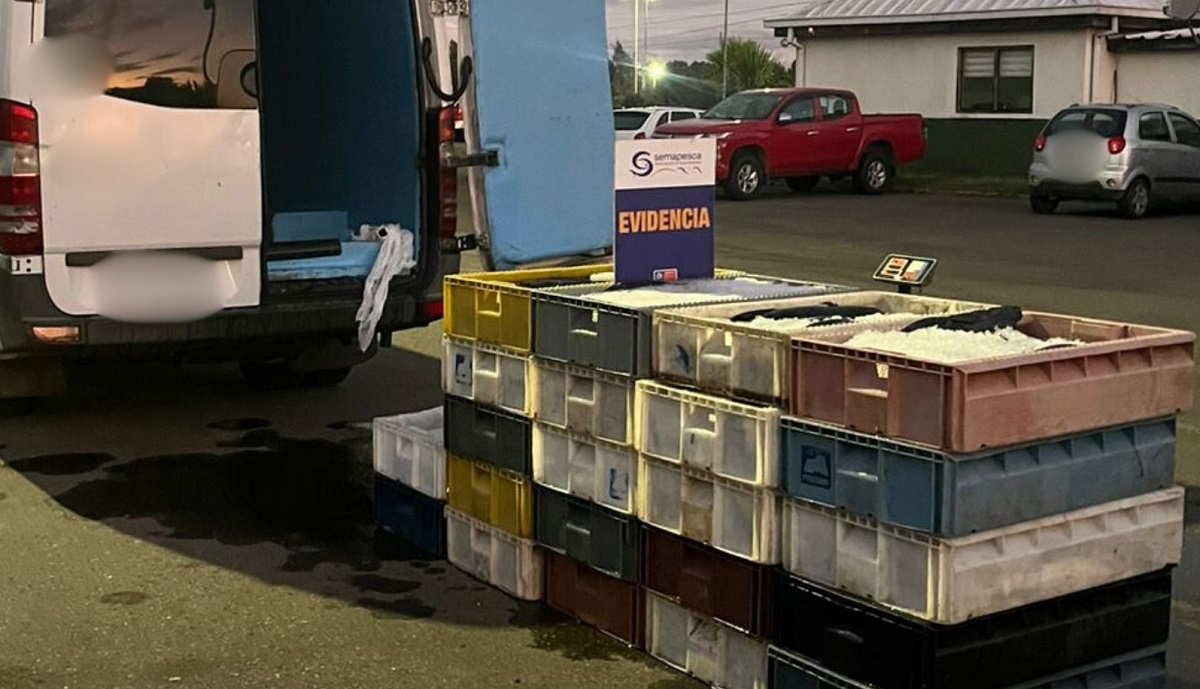 Los Ríos: Donan más de una tonelada de recursos del mar que fueron incautados en la ruta 5