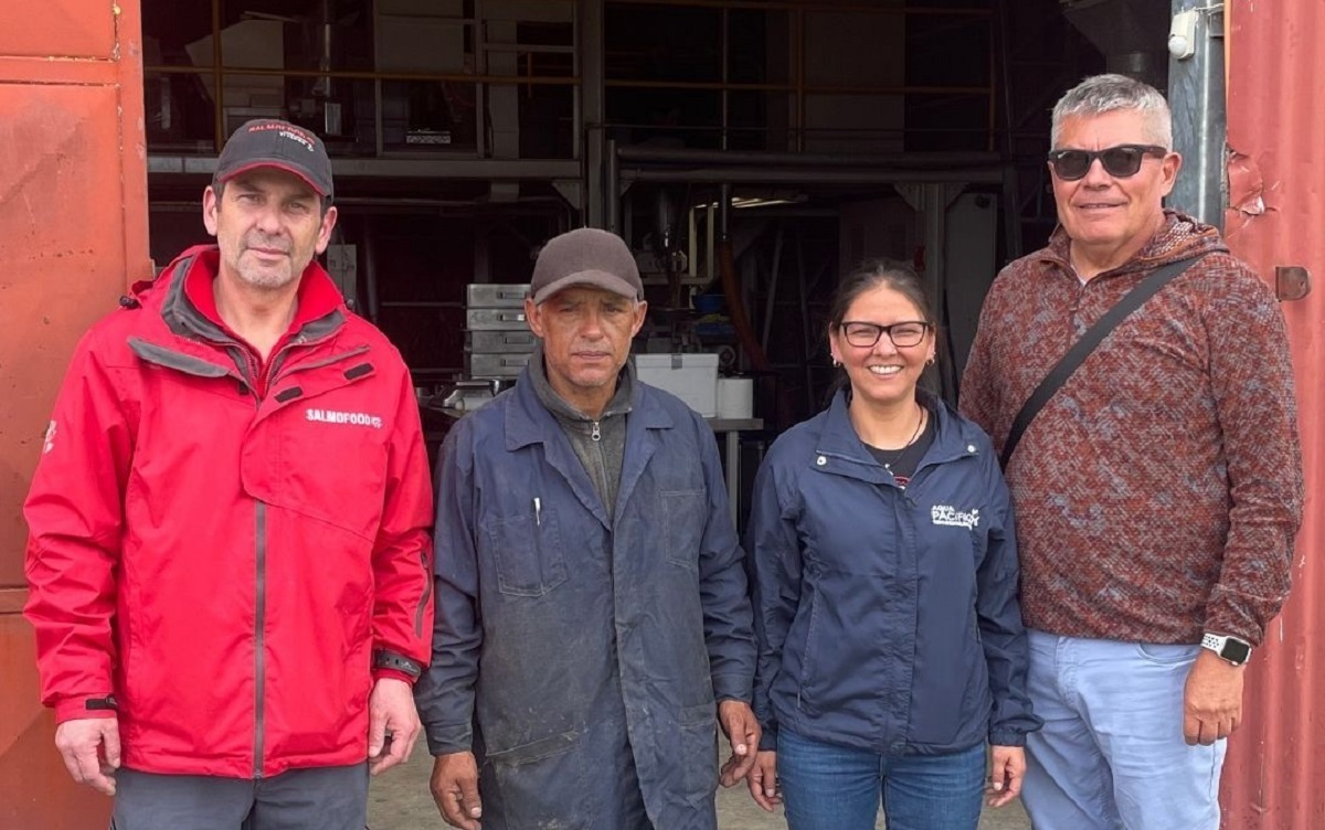 AquaPacífico avanza en nutrición acuícola con dieta experimental para Seriola