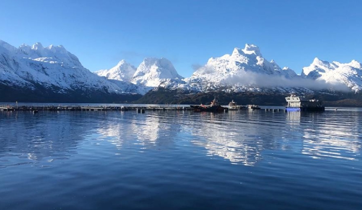 Multi X alcanza nivel “Management” en evaluación ambiental CDP