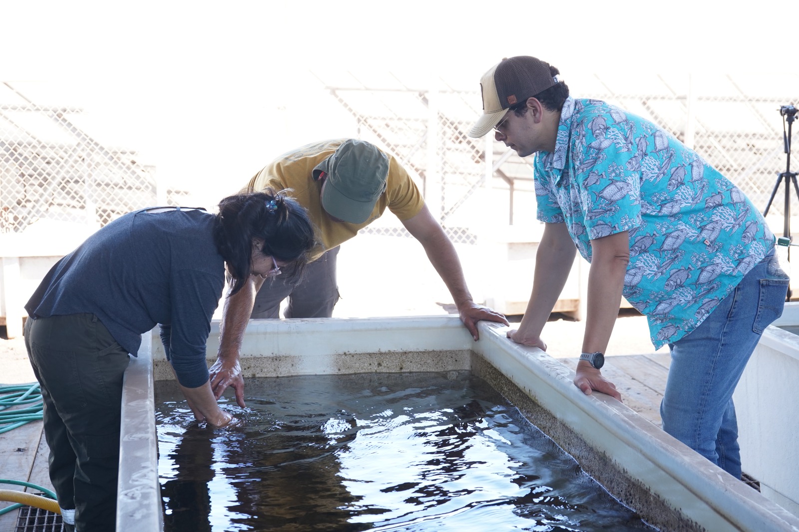 Con ciencia y trabajo en terreno: proyecto de la UCN fortalece la acuicultura local en caletas de la región de Antofagasta