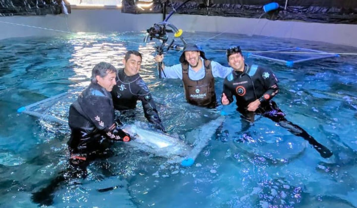Mundo Acuícola y Agua Viva sellan alianza en conmemoración de los 50 años de la salmonicultura