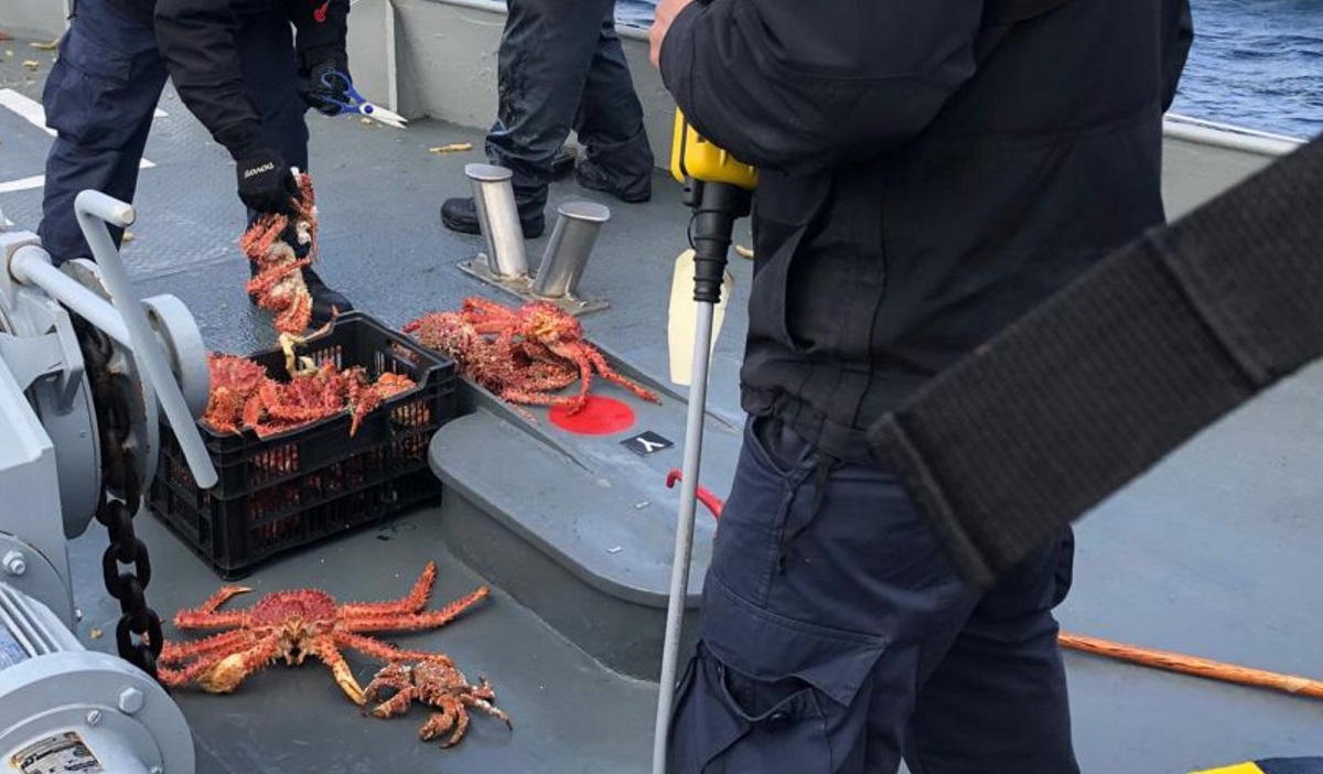 Magallanes: condenan a armador a multa de $48 millones por pesca ilegal y obstaculizar fiscalización