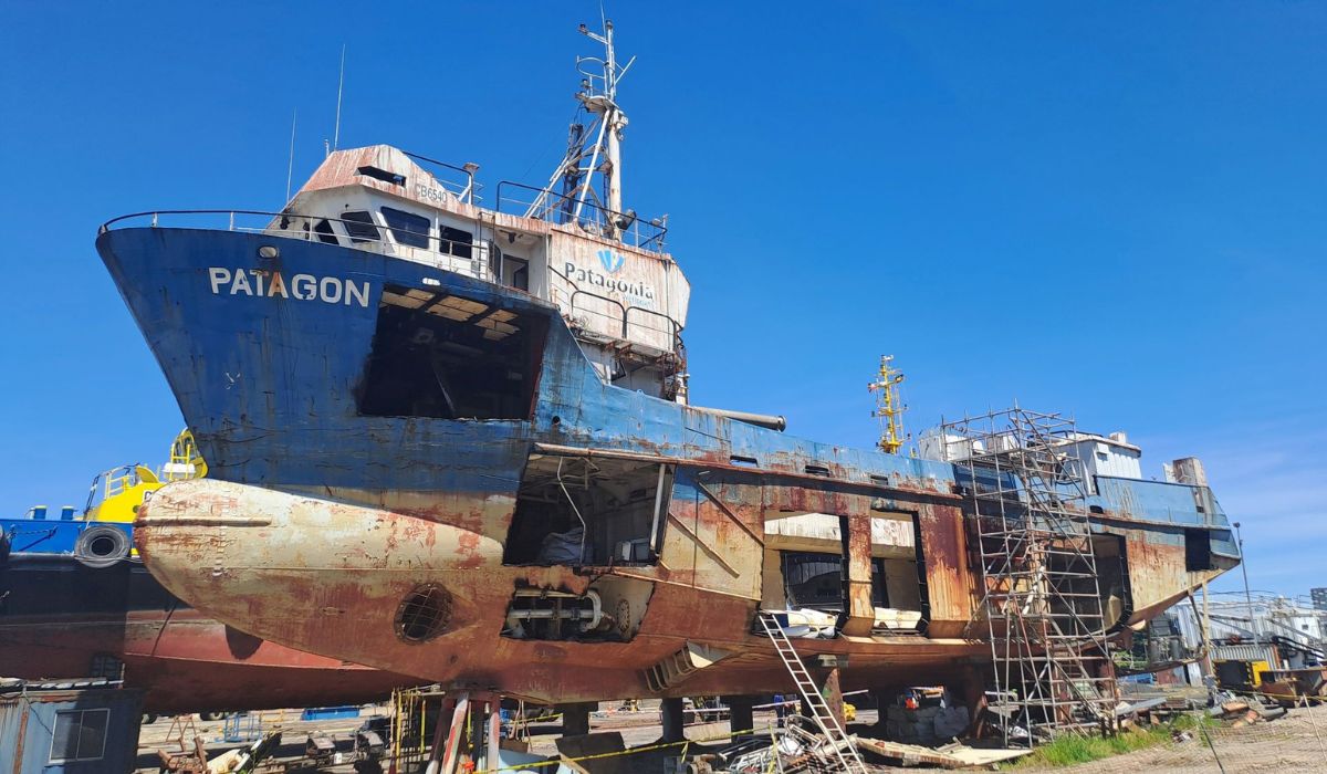 Columna: La evolución en logística pesquera que triunfó en la salmonicultura