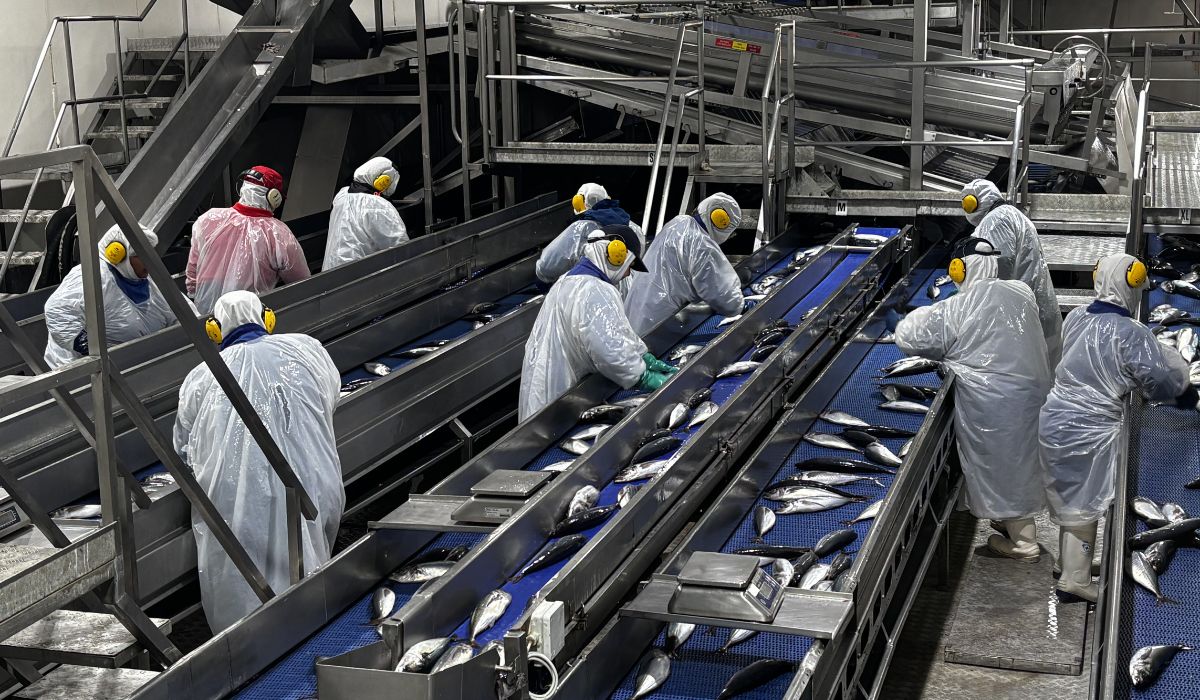 FoodCorp demandará al Estado por Ley de Fraccionamiento y advierte pérdidas millonarias