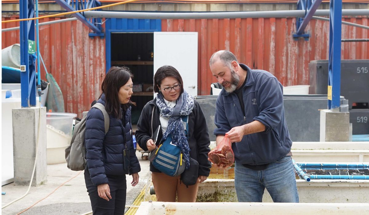 Académicas de la Universidad de Tokio visitan Fundación Chinquihue