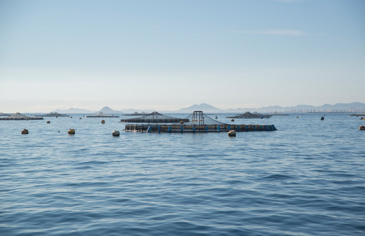 AyT presentará soluciones de monitoreo en AquaSur 2026