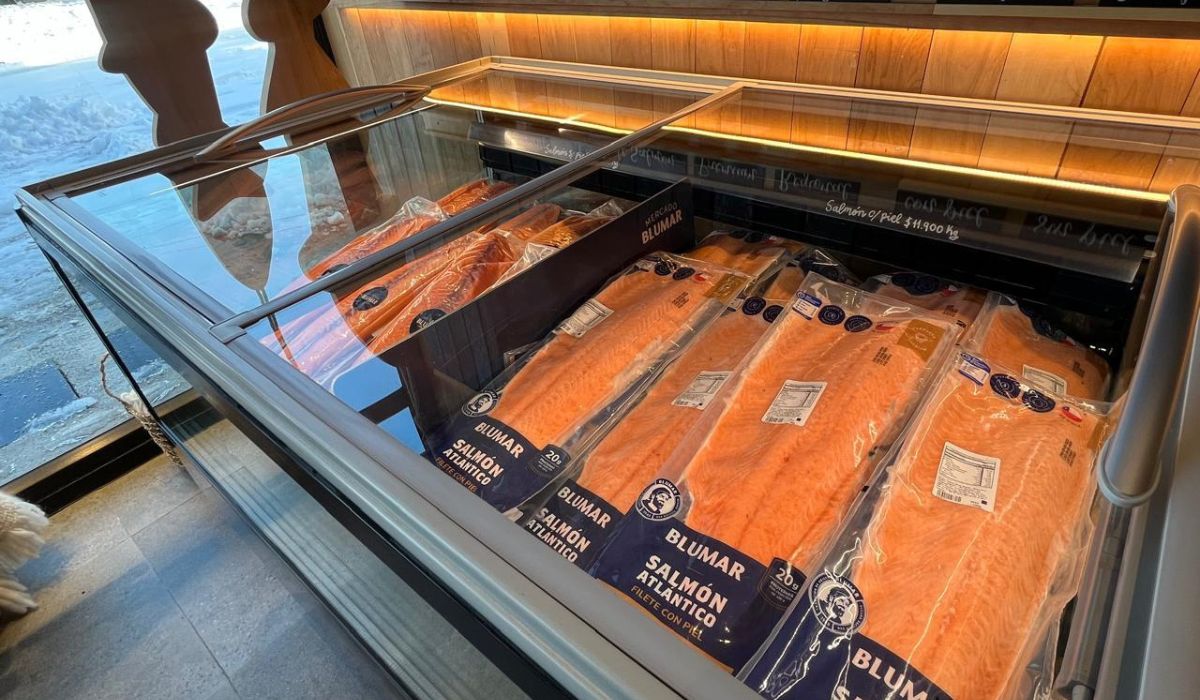 Salmón magallánico premium de Blumar se suma a la dieta de  más de 11.800 escolares