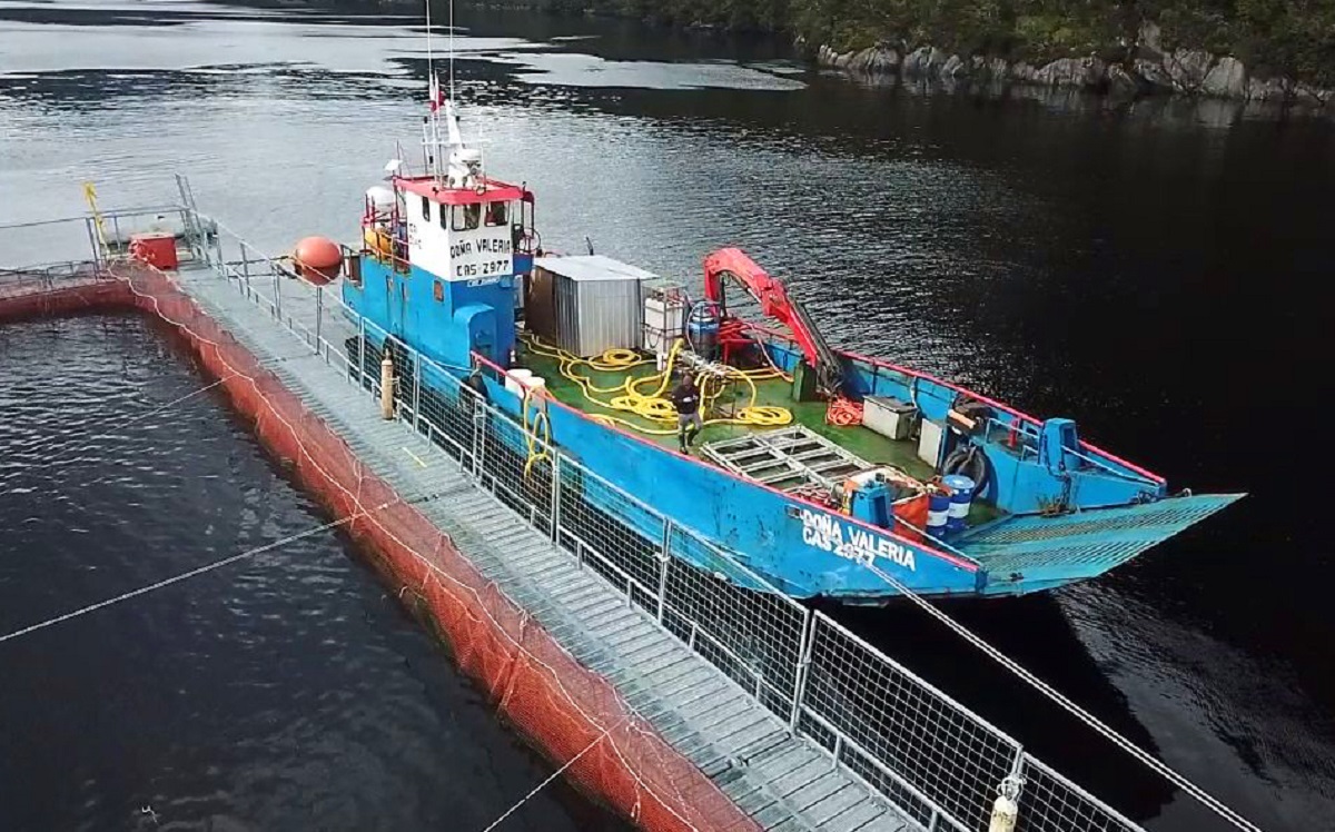 Moleaer y Semarco se asocian para reducir los costos de remediación de fondos marinos en la industria salmonera de Chile