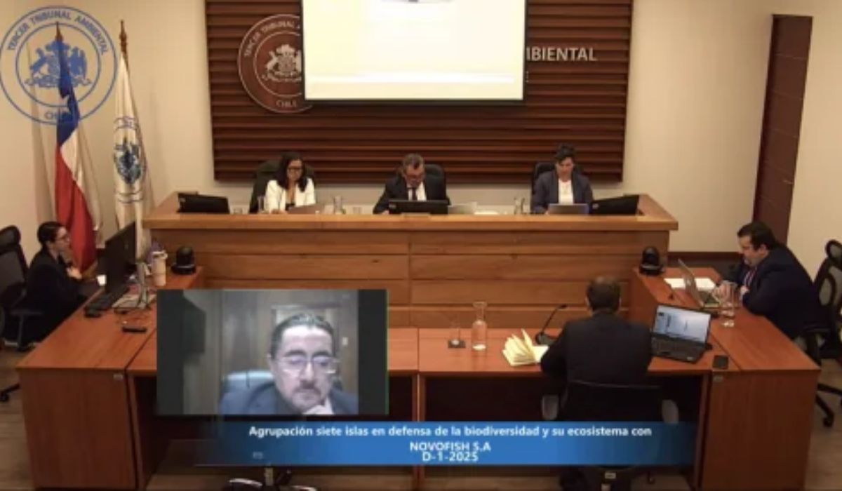 Concluyen alegatos por demanda ambiental contra Novofish en Calbuco