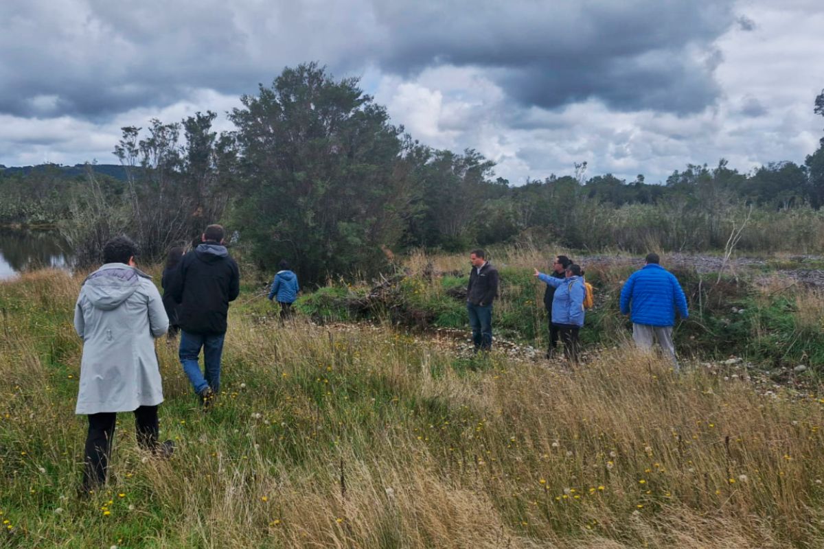 Calbuco: Realizan inspección en demanda por daño ambiental contra Novofish