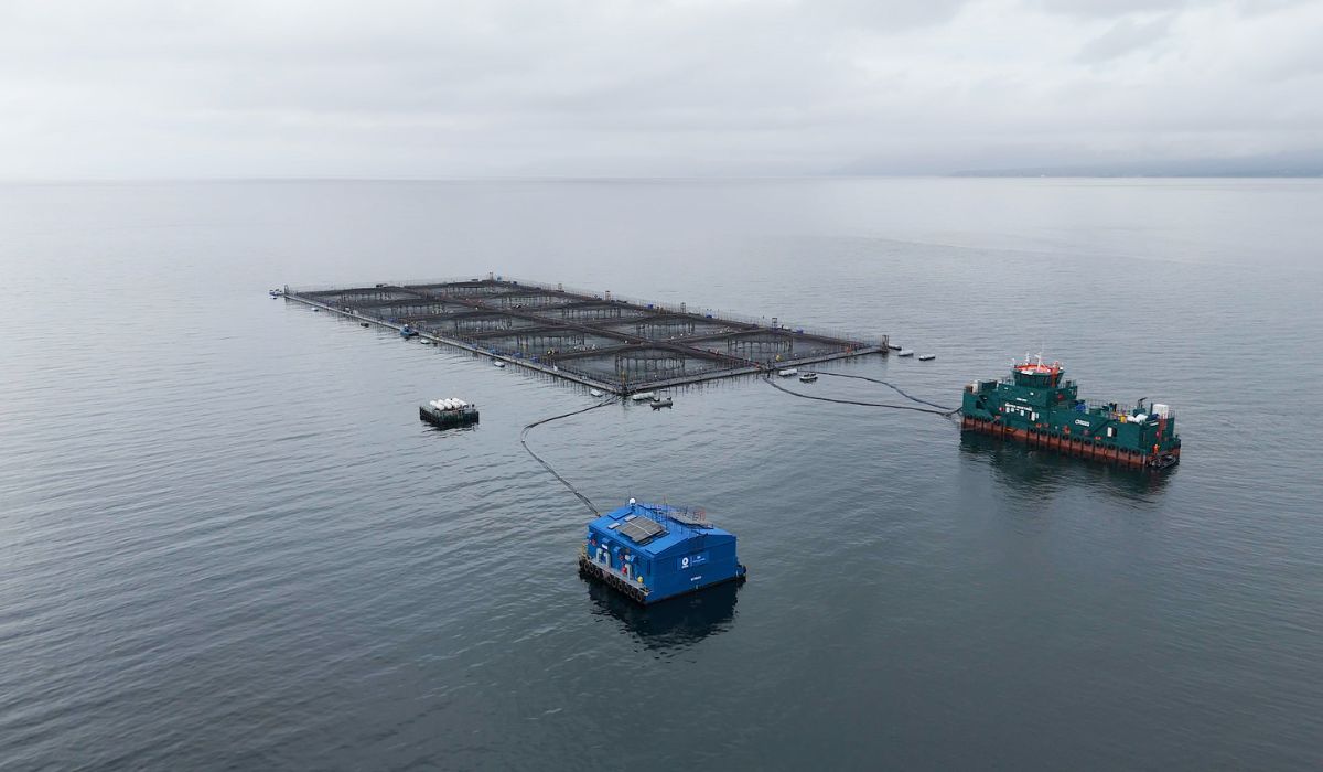 Oxzo mostrará en Aquasur tecnologías de oxigenación desarrolladas en el sur de Chile