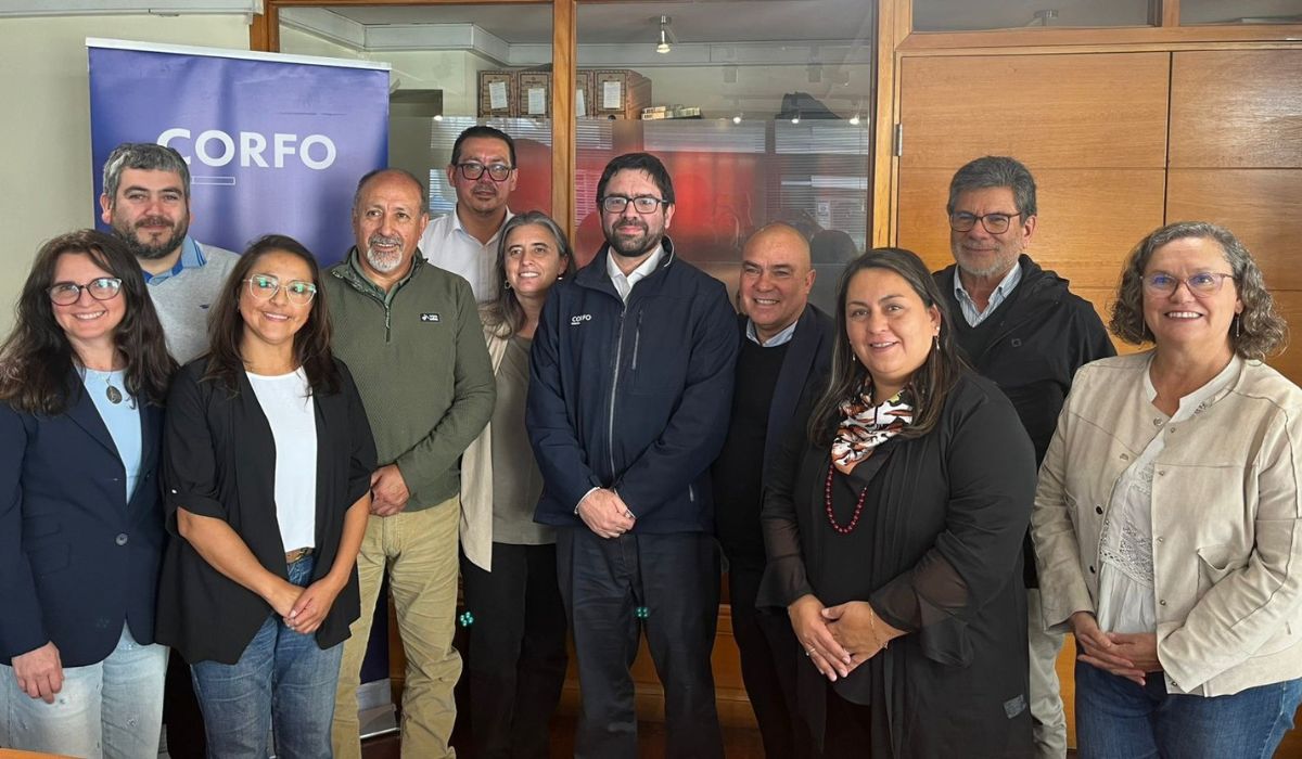 Gobernanza del PTI Salmón revisa caracterización de proveedores y huella de carbono