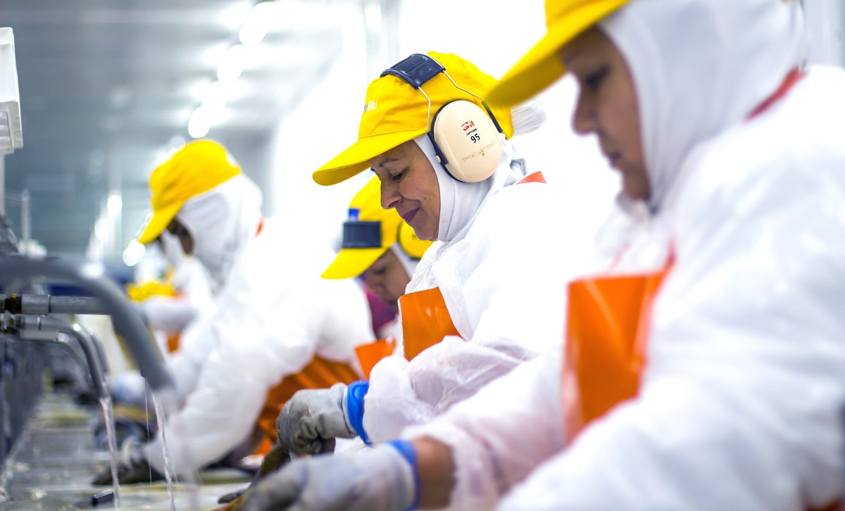 PacificBlu alcanza 98,32% de valorización de residuos y logra importante certificación