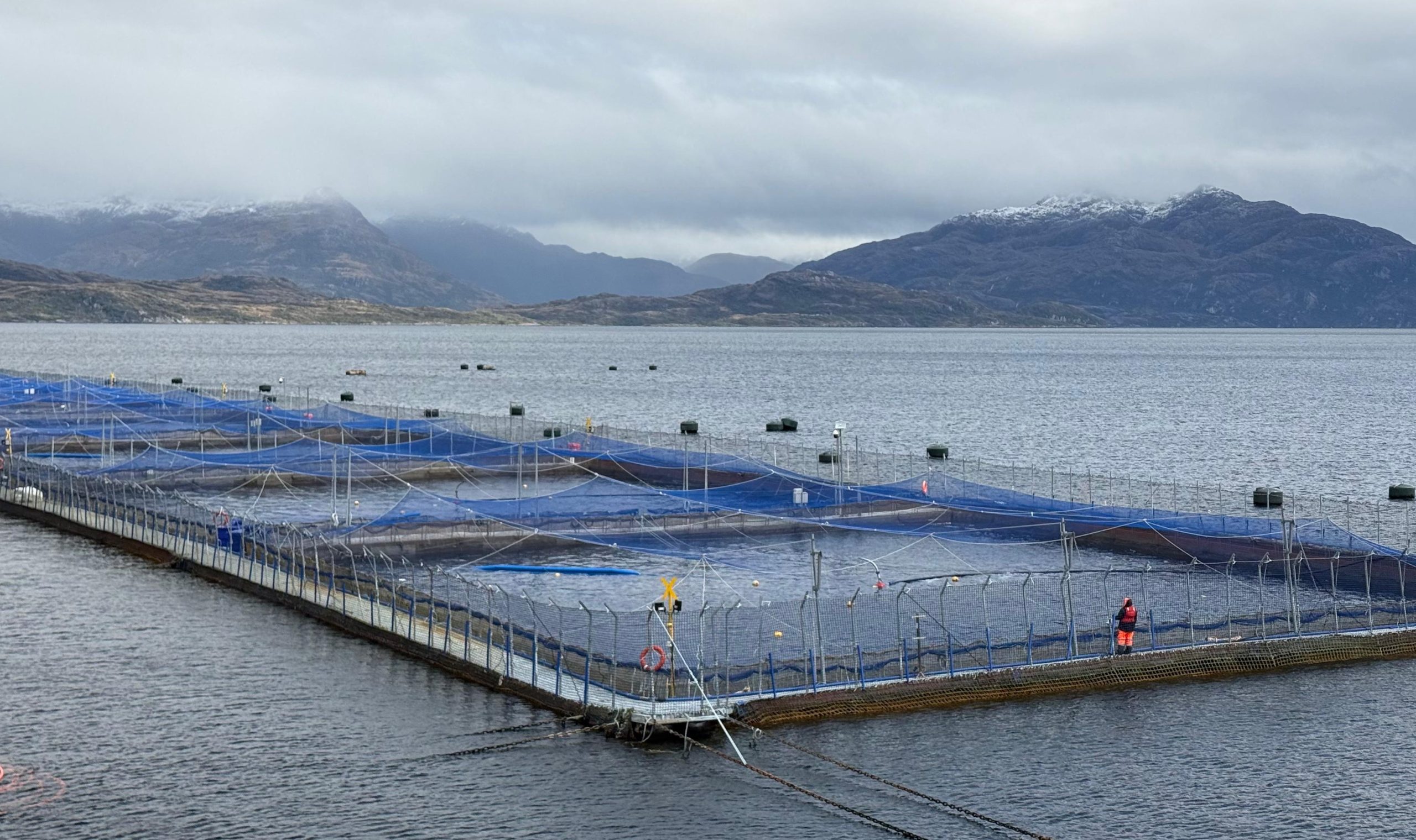 Sernapesca prepara participación en feria internacional Aquasur 2026