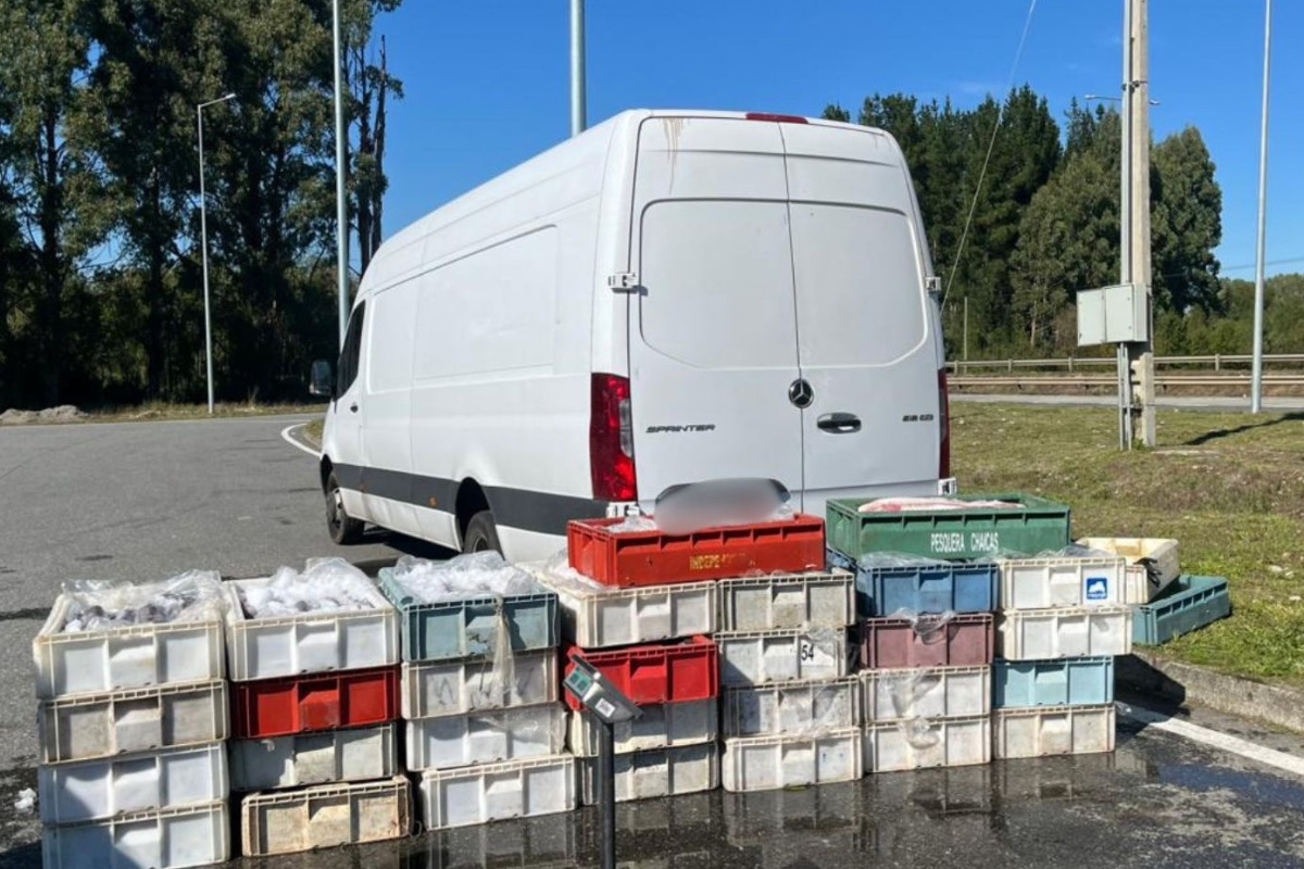 Los Ríos: Sernapesca realiza balance de los controles realizados previo a Semana Santa