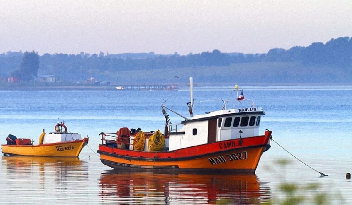 Aprueban transferencia de $550 millones para dar continuidad a acuerdo por zonas contiguas