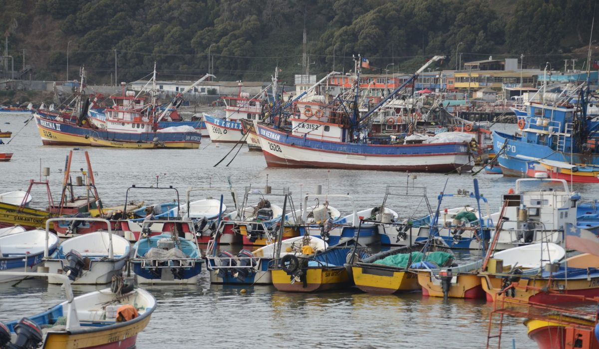 Presentan medidas para mitigar el impacto del alza del precio de los combustibles en la pesca artesanal