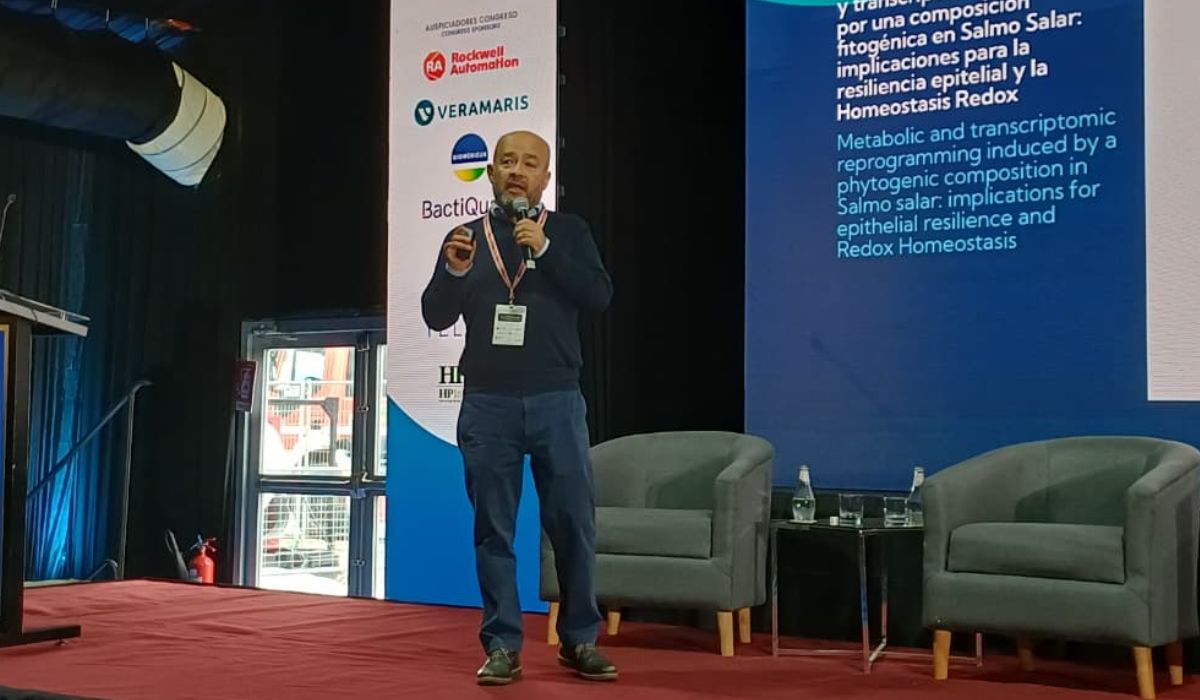 INCAR² y Multi X impulsan alternativa natural para reforzar salud del salmón Atlántico