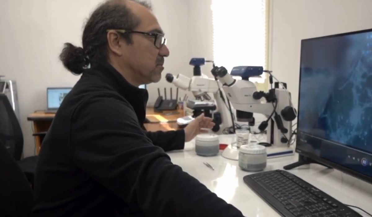 Centro INCAR lanza segunda parte de serie audiovisual "Paper Flash: Ciencia al Instante"