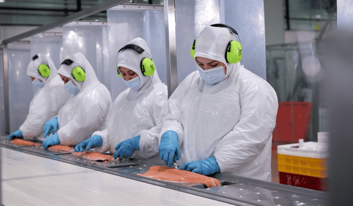 Exportaciones de salmón crecen 20,7% interanual y alcanzan US$1.900 millones