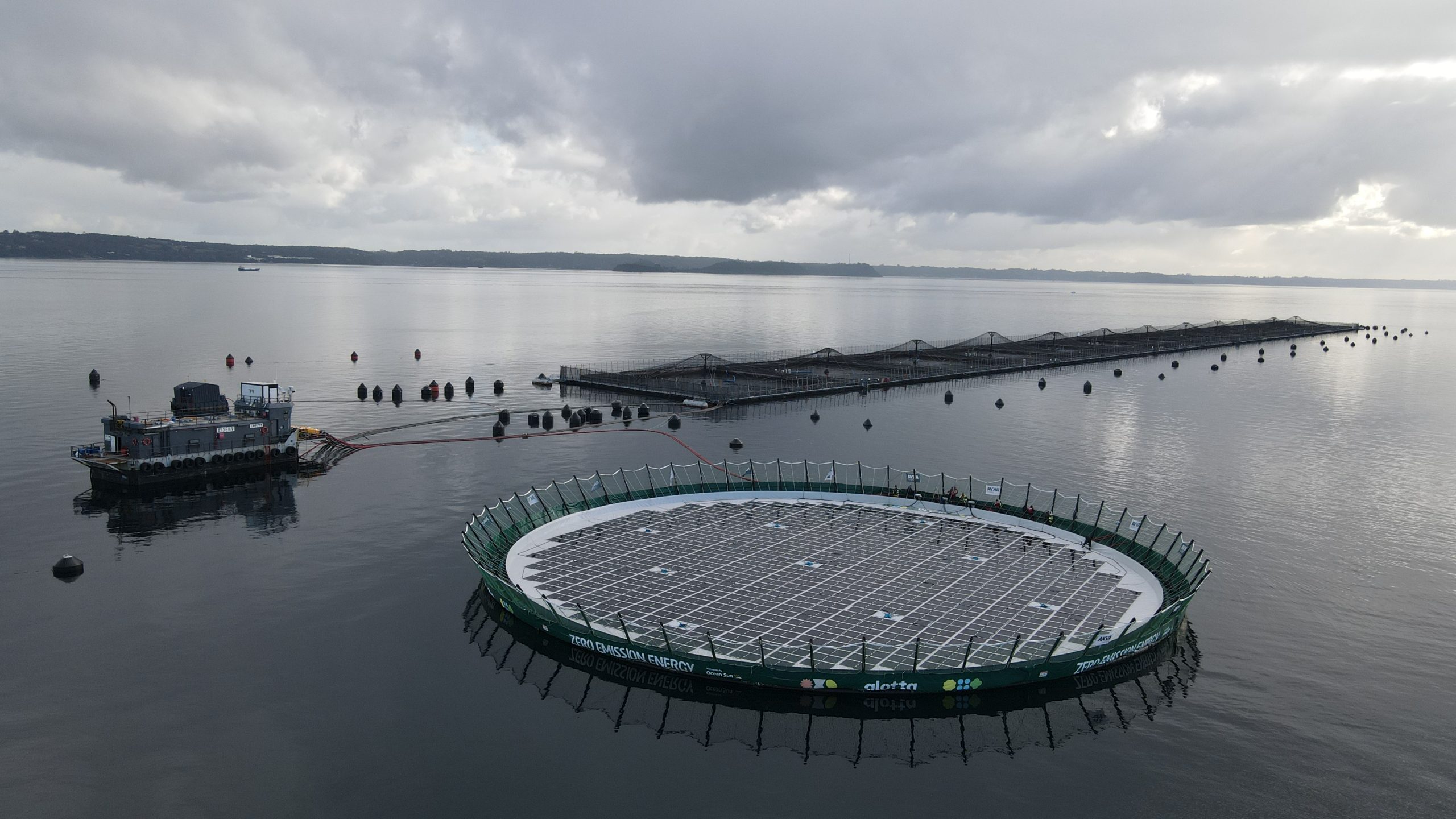 Disponible edición 180 de Revista Mundo Acuícola en formato digital: especial 50 años de la salmonicultura en Chile