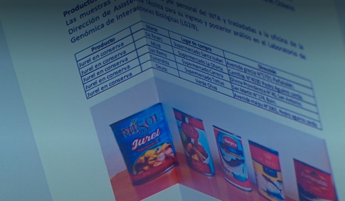 Denuncian a cinco marcas por venta de “falso jurel” chino