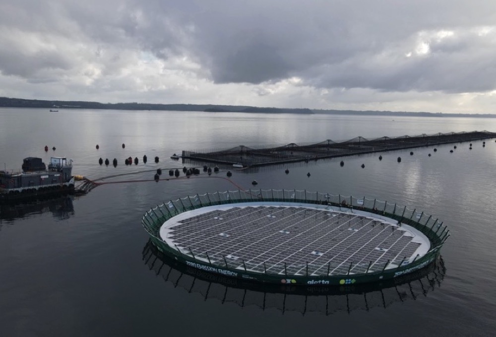 Mowi Chile sigue liderando la Revolución Azul