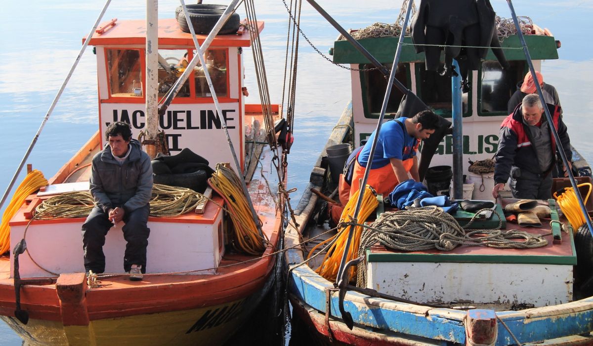 Fundación Chinquihue entregará becas de estudio a hijos e hijas de pescadores artesanales