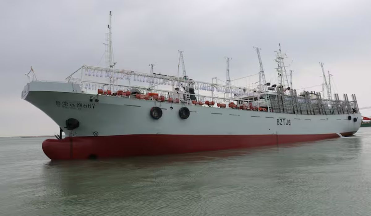 Pesquera china es denunciada por operar ilegalmente en mar chileno con evidencia satelital