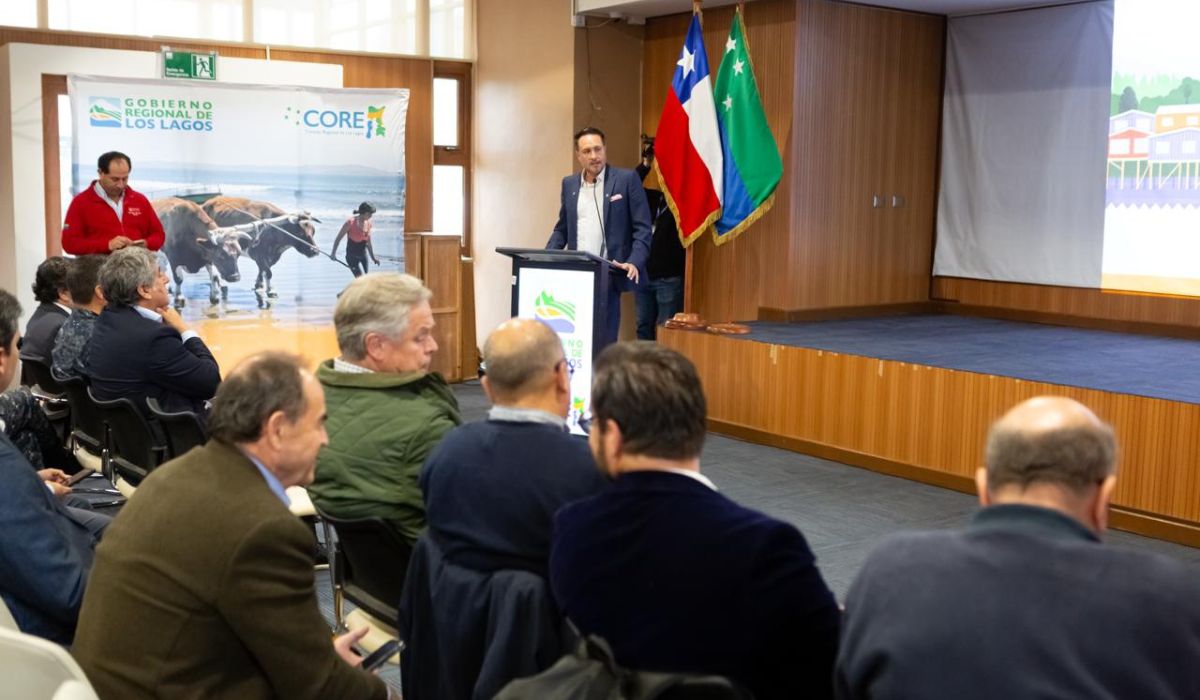 Los Lagos busca liderar polo de construcción naval en el sur