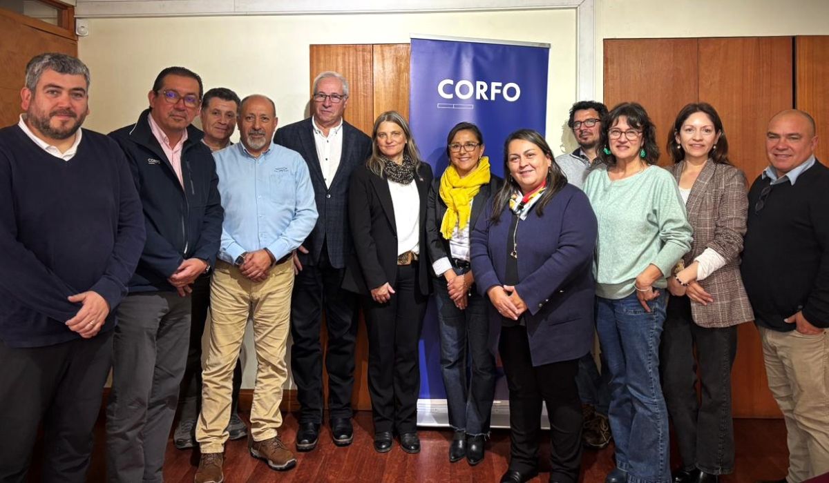 PTI Industria Sostenible del Salmón busca caracterizar a 400 empresas proveedoras