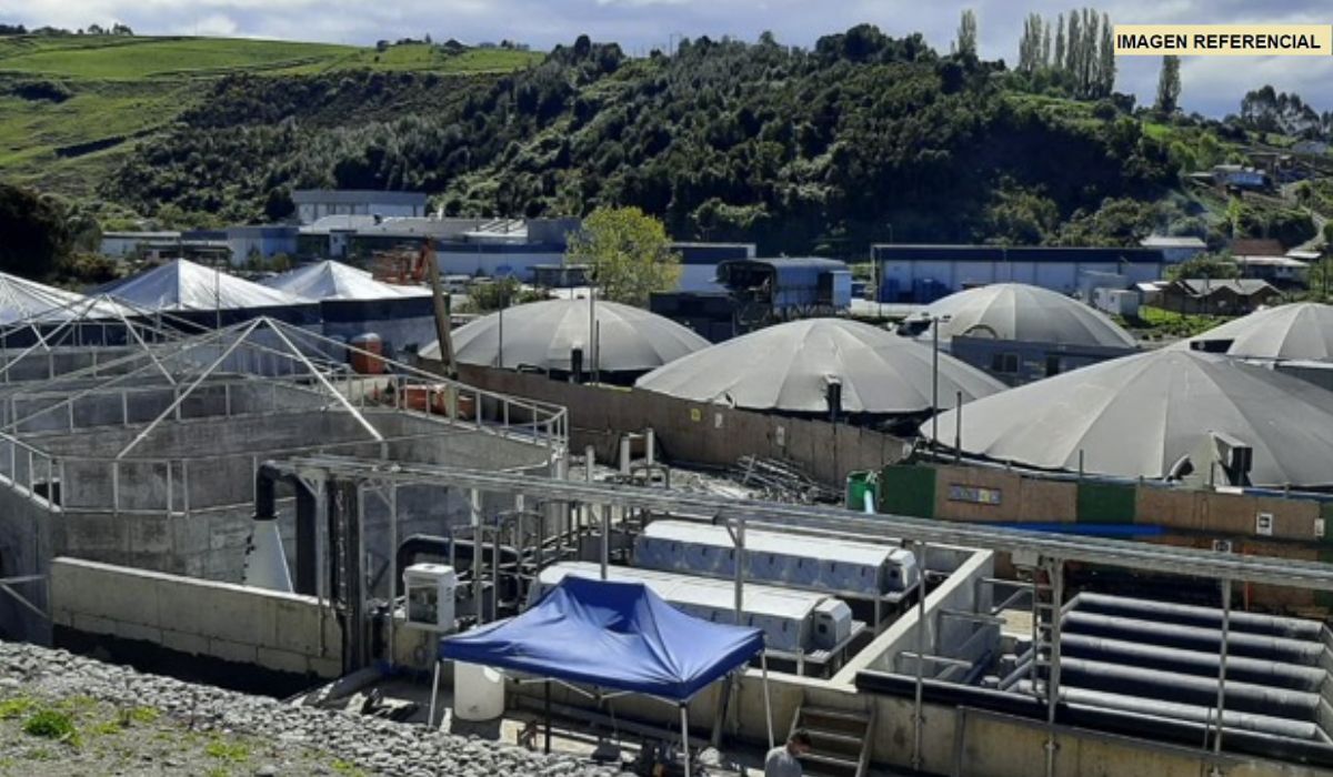 Mowi ejecuta plan de remoción de lodo orgánico en Chonchi tras derrame en piscicultura