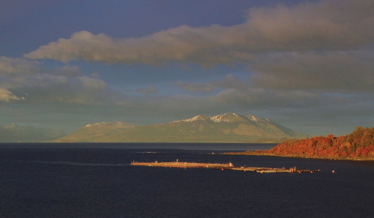 Reglamento del Servicio de Biodiversidad y Áreas Protegidas genera inquietud en la salmonicultura
