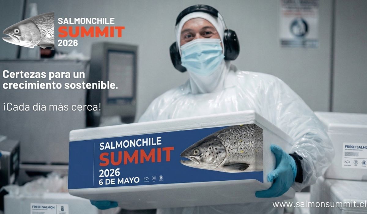 El sur de Chile se prepara para recibir la tercera versión del Salmón Summit