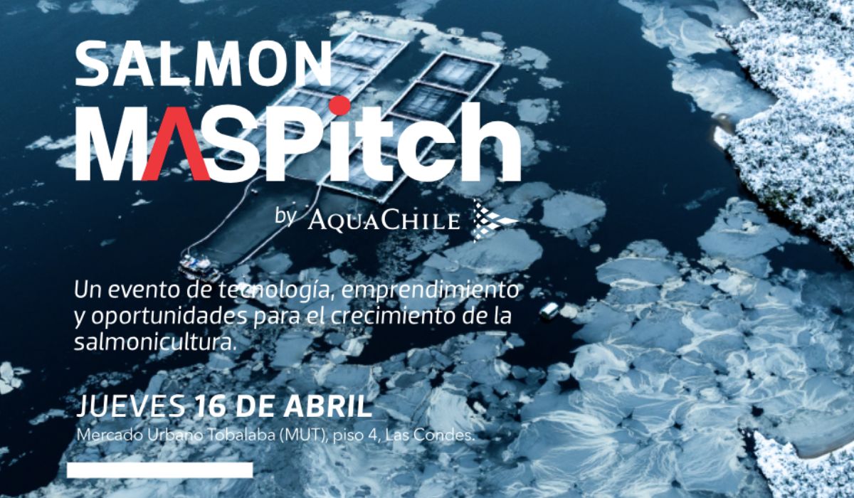 Salmon MAS Pitch define a sus ocho startups finalistas para primera edición junto a AquaChile y DF MAS
